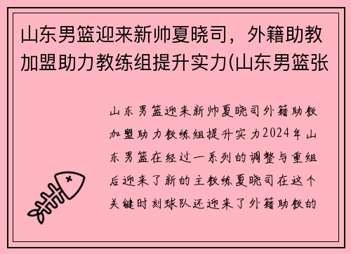 山东男篮迎来新帅夏晓司，外籍助教加盟助力教练组提升实力(山东男篮张晓薇)